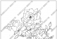 玫瑰花白描线稿19高清图片下载