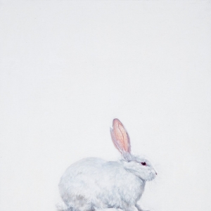 胡文丹油画作品《兔子》欣赏