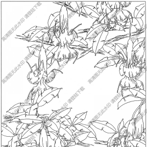 曼陀罗白描图片5高清下载