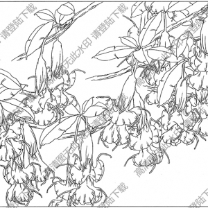 曼陀罗白描线稿16高清图片下载