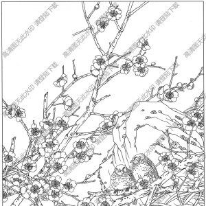 梅花白描图片7高清下载