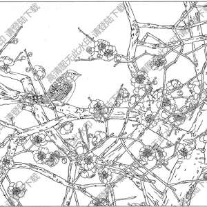 梅花白描线稿14高清图片下载