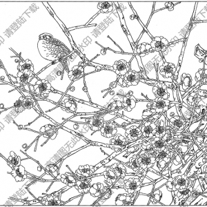 梅花白描线稿18高清图片下载