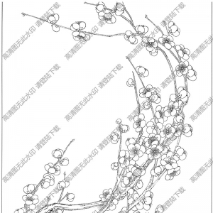 梅花白描线稿28高清图片下载