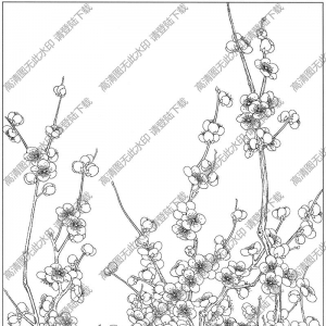 梅花白描线稿31高清图片下载