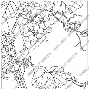 草虫白描图片4高清下载