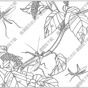 草虫白描图片6高清下载