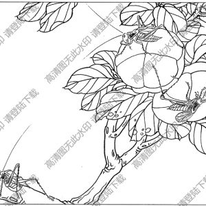 草虫线描画底稿10高清大图下载