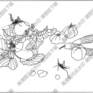 草虫白描线稿16高清图片下载