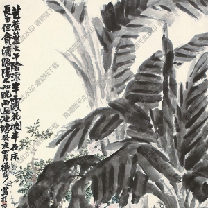 陈师曾国画作品 一夜芭蕉雨 高清下载