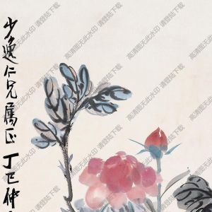 陈师曾作品 牡丹 高清大图下载