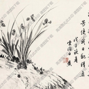 白蕉国画作品 幽兰图2 高清下载