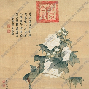 钱维城作品 木芙蓉 高清大图下载