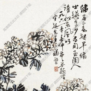 吴茀之作品 绣球花 (2) 高清大图下载