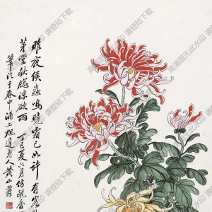 黄山寿作品 菊石图(3) 高清大图下载