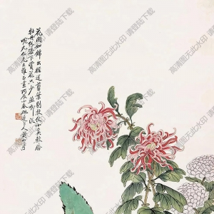 黄山寿作品 菊石图(5) 高清大图下载