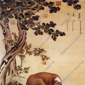 郎世宁 十骏犬图5-金翅猃 高清名画下载